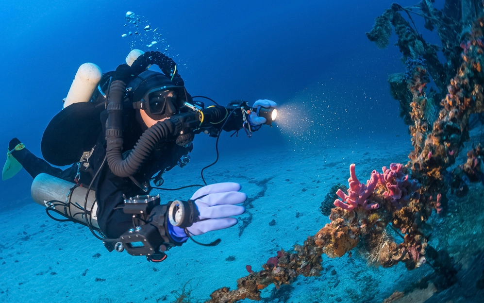 EXPLOREZ LES TRÉSORS DES FONDS MARINS