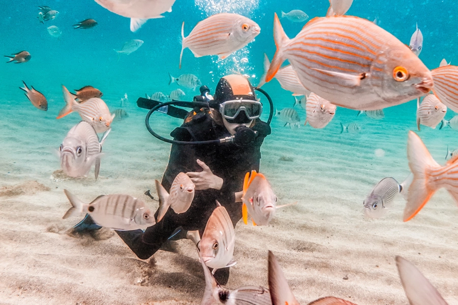 Plongez beaux sites du monde !