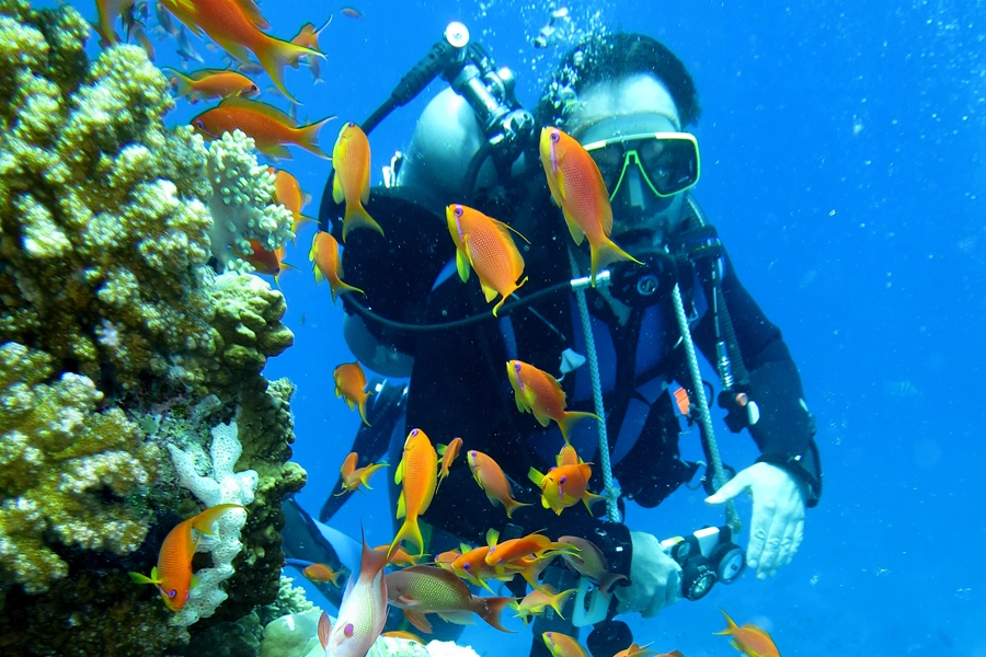 Plongez beaux sites du monde !
