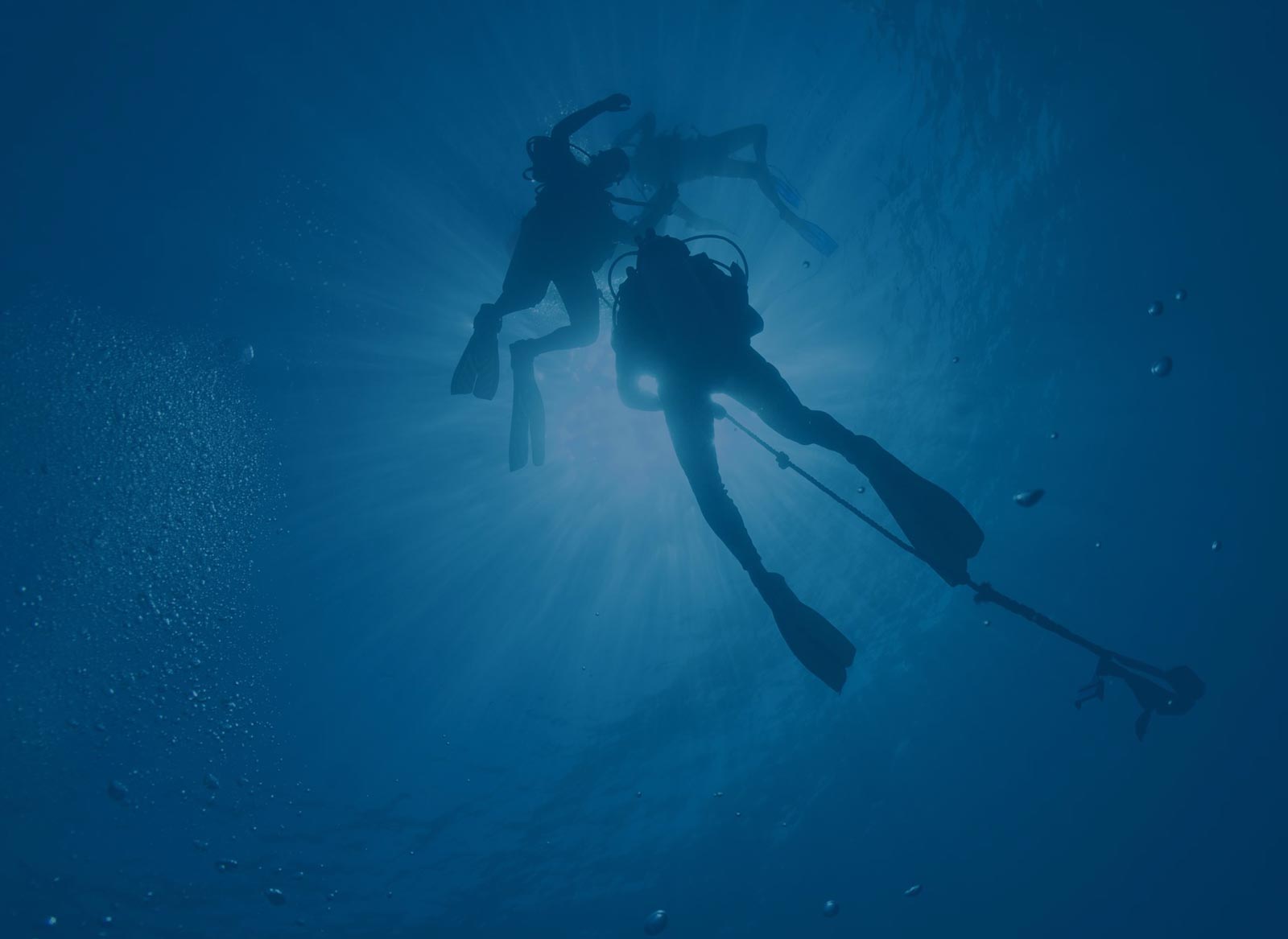 Explorez les plus beaux sites de plongée du monde !