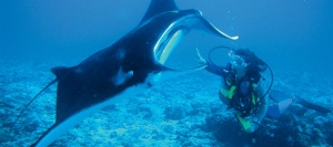 BLUE WORLD Madagascar,