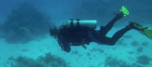 Red Sea Diving Safari