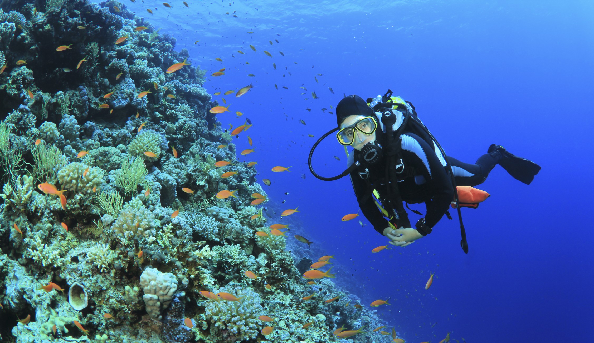 Challenge De Photos Sous Marines De Marseille 10 Ans Deja