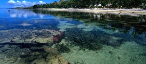 Coral Beach