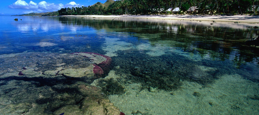 Coral Beach