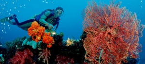 plongée sous marine dans le monde