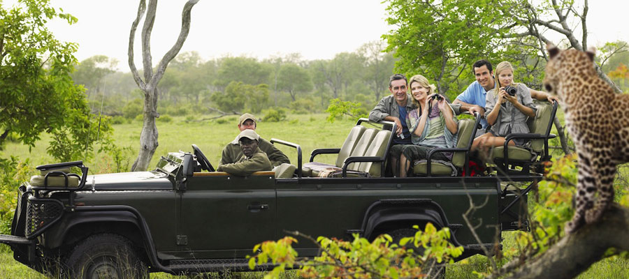 Un safari en Afrique du Sud