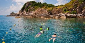 Top 10 des meilleurs spots de plongée en Thaïlande : Koh Tao et Koh Samui