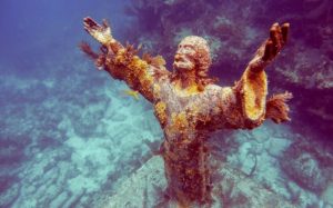 Plongée en Floride : la faune et la flore à découvrir dans ses fonds marins