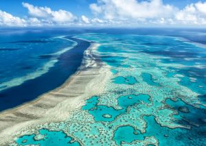 Top 10 des plus beaux spots de plongée du monde : la Grande barrière de corail en Australie