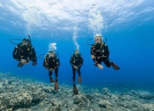 Débuter la plongée sous-marine : pourquoi suivre une formation est capitale ?
