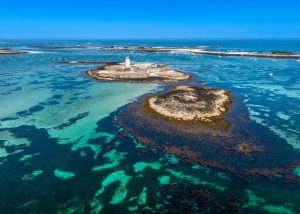 Top 10 des meilleurs spots de plongée en France métropolitaine : l’Archipel des Glénan en Bretagne