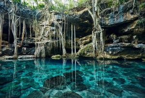 Top 10 des plus beaux spots de plongée du monde : les Cénotes de Yucatan au Mexique