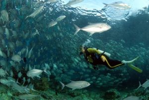 Top 10 des plus beaux spots de plongée du monde : la Malaisie