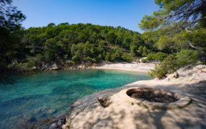 Top 10 des meilleurs spots de plongée en France métropolitaine : la Calanque de Port d’Alon dans le Var