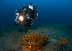 Lampe ou phare de plongée : quelle différence ?