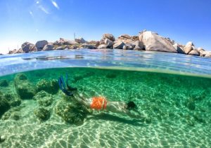 Meilleur spot de plongée en Corse : Le Golfe de Sagone