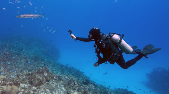 plongée sous-marine